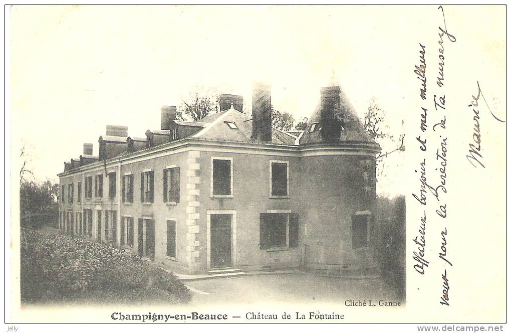 CHAMPIGNY-en-BEAUCE  -   Château De La Fontaine - Autres & Non Classés