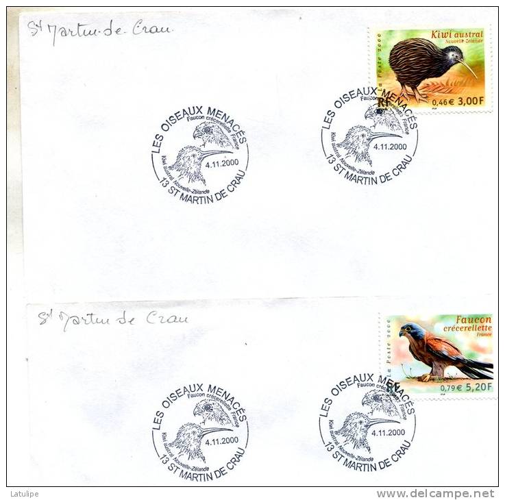 Enveloppe  Timbrée  ( Document  ) Serie De 2  Timbres  Des Oiseaux Menacés A Saint-Martin De Crau  13 Le 4 11 2000 - Kiwi