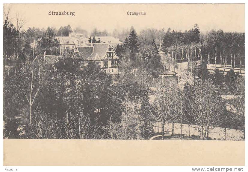 CPA - 67 - Strassburg Strasbourg - Orangerie - Neuve Dos Simple État TB - 2 Scans - Kunstverlag 428 - Strasbourg