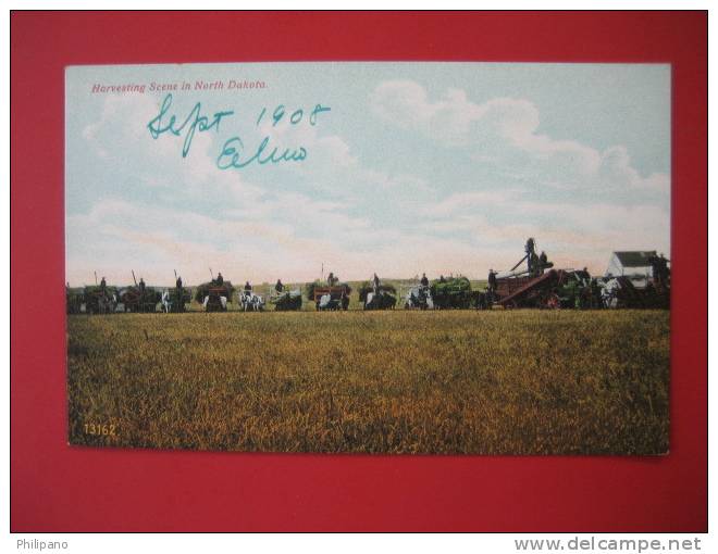 North Dakota >  Harvesting Scene   Ca 1910  --   ===  --== Ref 275 - Altri & Non Classificati