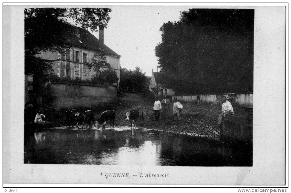 Quenne Vaches Et Hommes à L´abreuvoir 1910 état Superbe - Champs Sur Yonne