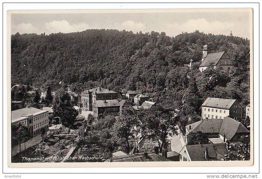 RAR Tharandt Mit Forstlicer Hochschule Um 1930 - Tharandt