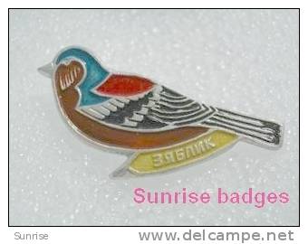 Animals: Birds Fringilla Coelebs - Chaffinch - Common Chaffinch / Old Soviet Badge _35_an9201 - Animals
