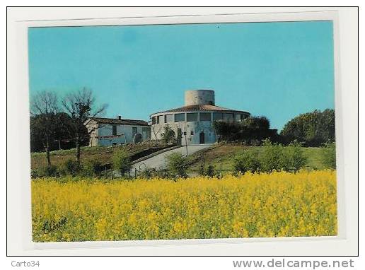 85   POUZAUGES LE PUY CRAPAUD - Pouzauges