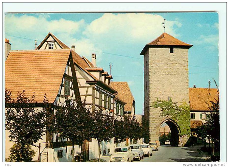 Dép 67 - Voitures - Automobile -  Dambach La Ville -  Route Du Vin D'Alsace - Bon état Général - Moderne  Grand Format - Dambach-la-ville