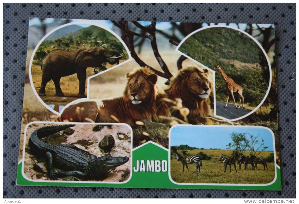 CPM  : KEYNYA AFRIQUE OUEST JAMBO  LIONS CROCODILE ZEBRES LIONS GIRAFE MASAI TIMBRES MINERAUX AMETHYSTE KAYANITE - Kenia