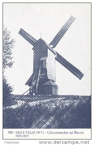 Geluveld - Chicoreimolen Uit Bieren - 1925-1947 - Zonnebeke