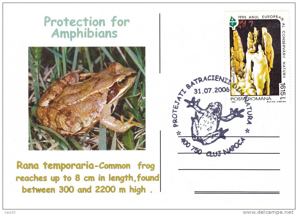 PROTECTION FOR AMPHIBIANS RANA TEMPORARIA- Turtles,nice,POSTCARD 2006 Obliteration Concordante Romania. - Turtles