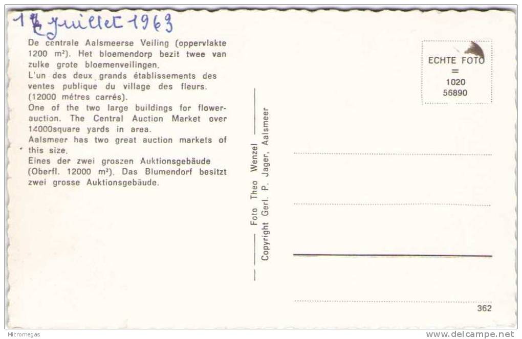 PAYS BAS - AALSMEER - De Centrale Aalsmeerse Veiling - Vente Publique Du Village Des Fleurs - Aalsmeer