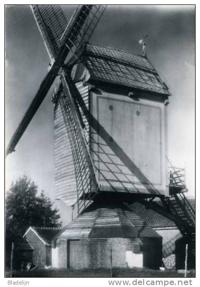 LOVENJOEL - Bierbeek (Brabant) - Molen/moulin - Mooie Close-up Van De Verdwenen Standaardmolen Van Het Gehucht Bruul. - Bierbeek