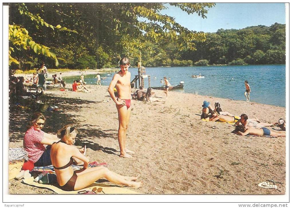 Allier :  FORÊT  De  TRONçAIS : La  Nouvelle  Plage  De  Pirot - Autres & Non Classés