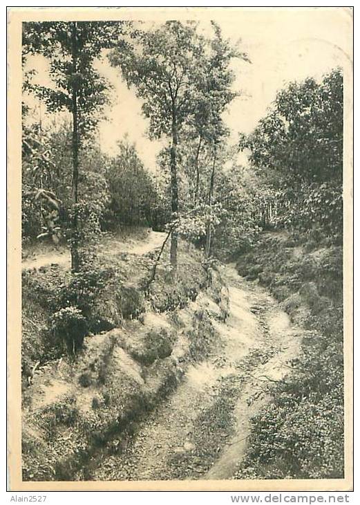 CSPM - ORROIR - Mont-de-l'Enclus - Kluisberg - Montée Vers La Tour - Beklimming Naar Den Toren (Ed. Depooter-Bruno) - Mont-de-l'Enclus