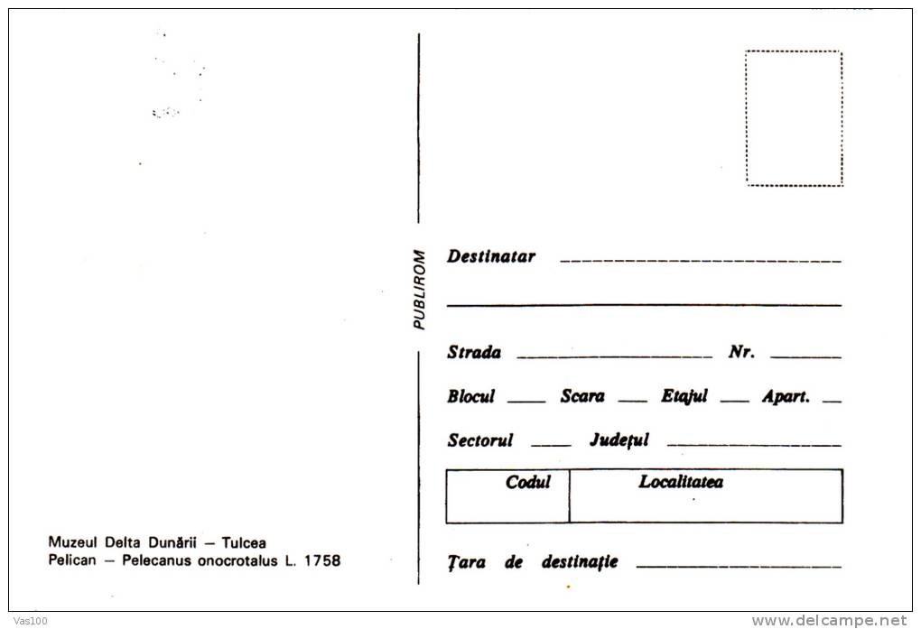 Pélicans,Pelican 1986 CM,maxicard,cartes Maximum - Romania. - Pelikane