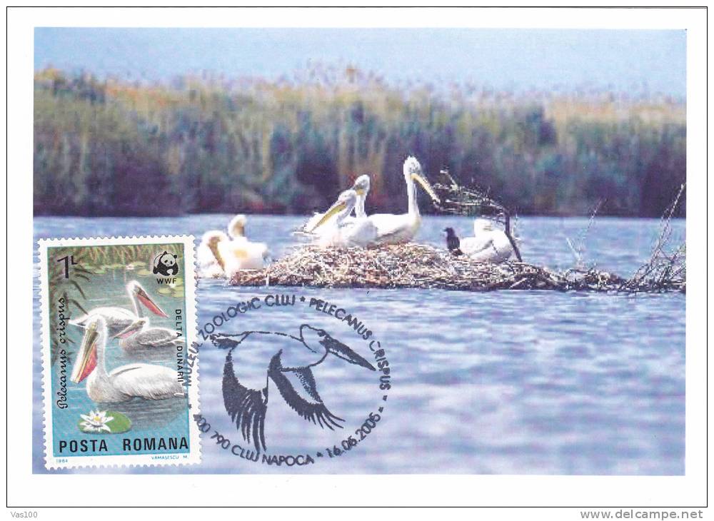 Pélicans,Pelican 2006 CM,maxicard,cartes Maximum - Romania. - Pelikane