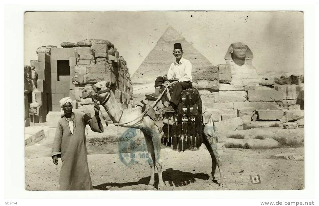 Cairo Egypt Camel Pyramid Sphinx................... ...................B2 64 - Sphinx