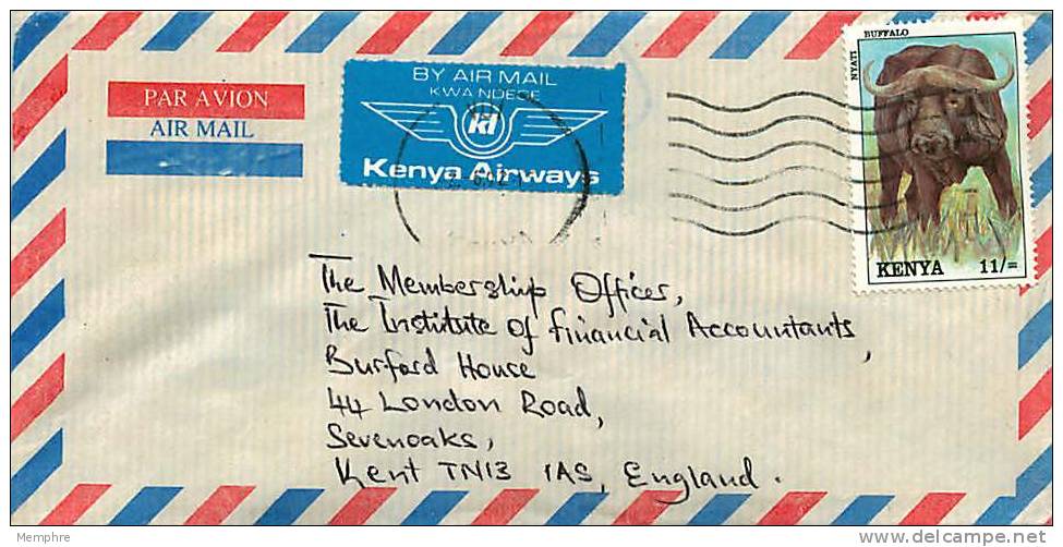 KENYA  Air Mail Letter To USA  1992  11/-  Buffalo  Sc 571 - Kenya (1963-...)