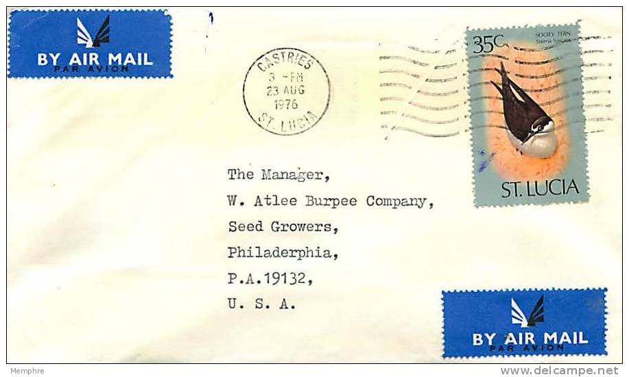 ST LUCIA 1976  Air Mail Letter To USA   Bird    Sc 397 - St.Lucia (1979-...)