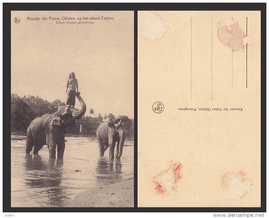 SRI LANKA CEYLON ELEPHANTS OLD POSTCARD  - D13845 - Elefanti