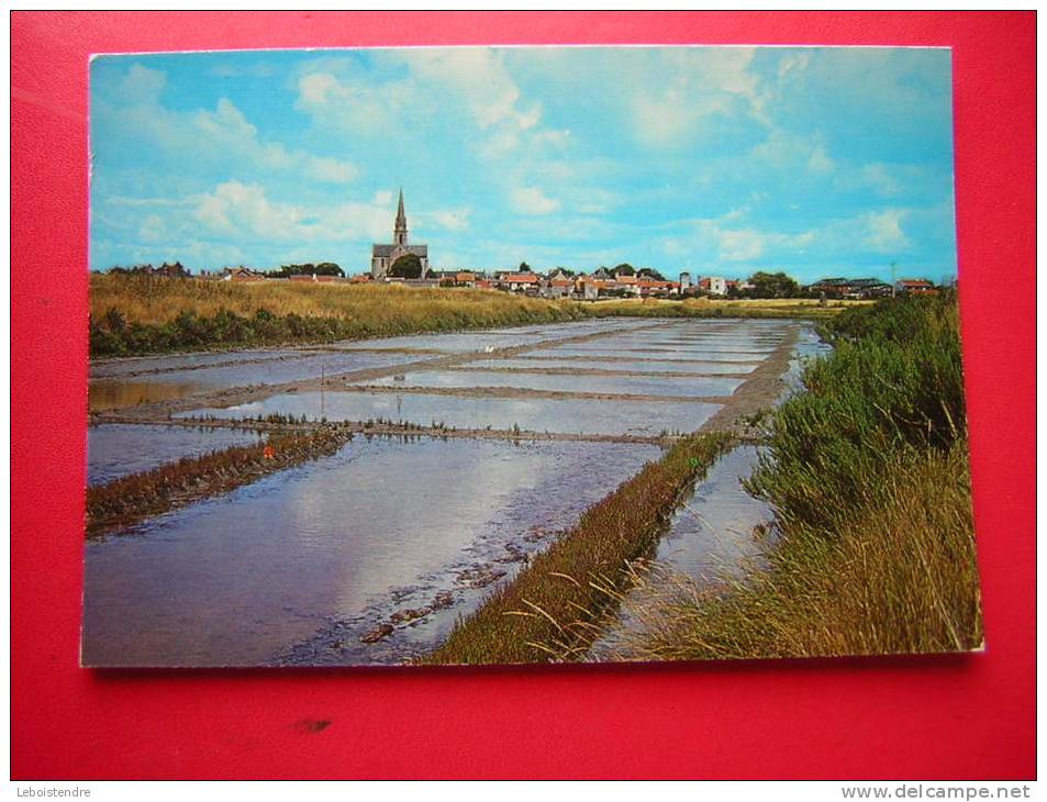 CPM-44-BOURGNEUF EN RETZ-LES MARAIS SALANTS -VOYAGEE1979 - Bourgneuf-en-Retz