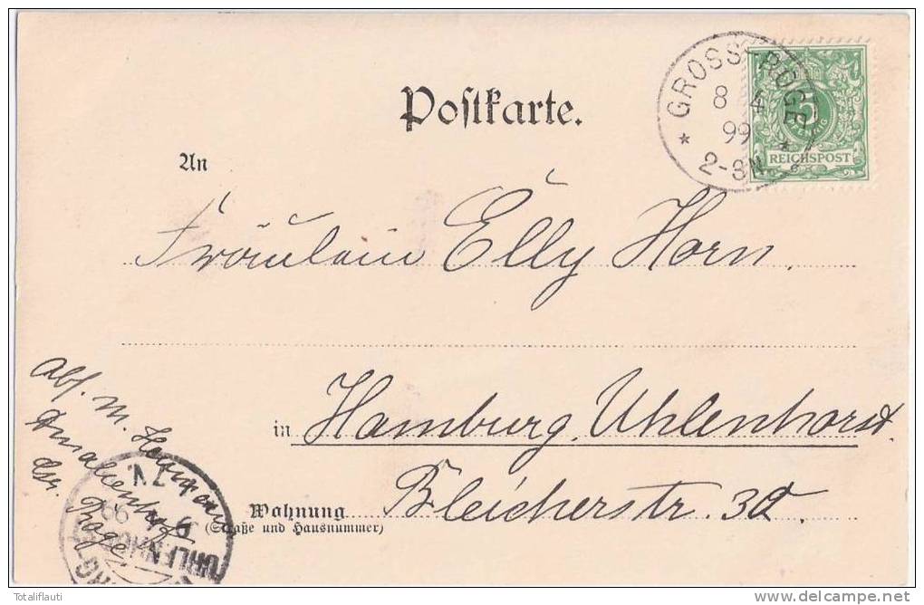 Gross Roge Bei Teterow Amalienhof Private Fotokarte 8.4.1899 Gelaufen - Teterow