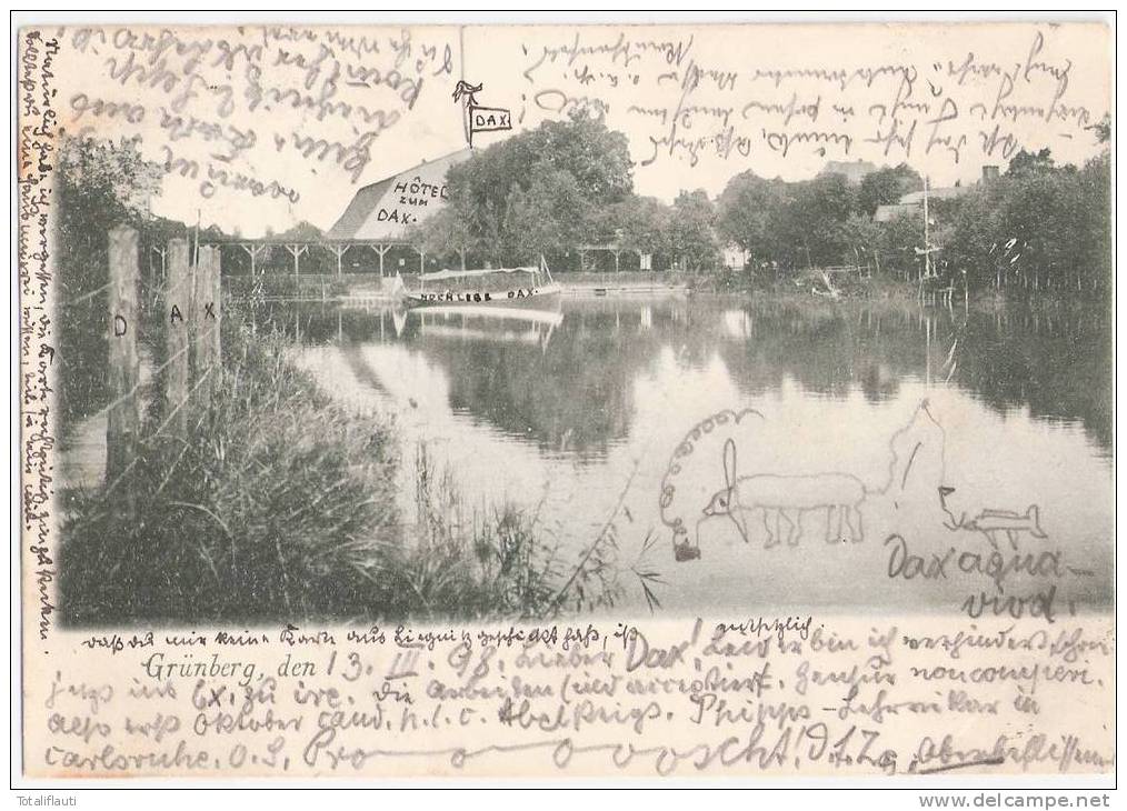 Grünberg Louisenthal See Mit Bootsanlage Zielona Gora 13.3.1898 Gelaufen - Schlesien