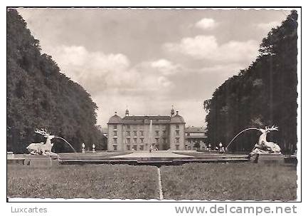 SCHWETZINGEN. HIRSCHGRUPPE IM SCHLOSSGARTEN.......... - Schwetzingen