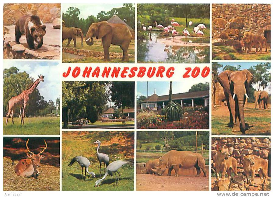 CPM - JOHANNESBURG ZOO (Artco, 537) - Afrique Du Sud
