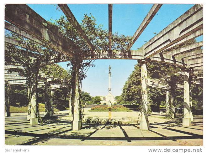 81. Cpsm. Gf. CARMAUX. Parc De La Sérénité Et Le Monument Aux Morts. 1022 - Carmaux