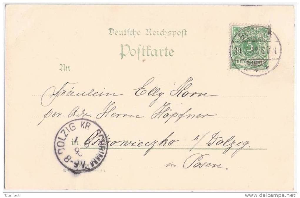 Gruß Vom Nordseestrande Insel Borkum Villa Kok. Vorläufer Grünlich 30.7.1899 Gelaufen - Borkum