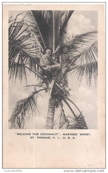 RARE ! SAINT THOMAS  - MARINES ´ SPORT - " MILKING THE COCOANUT " - Islas Vírgenes Americanas