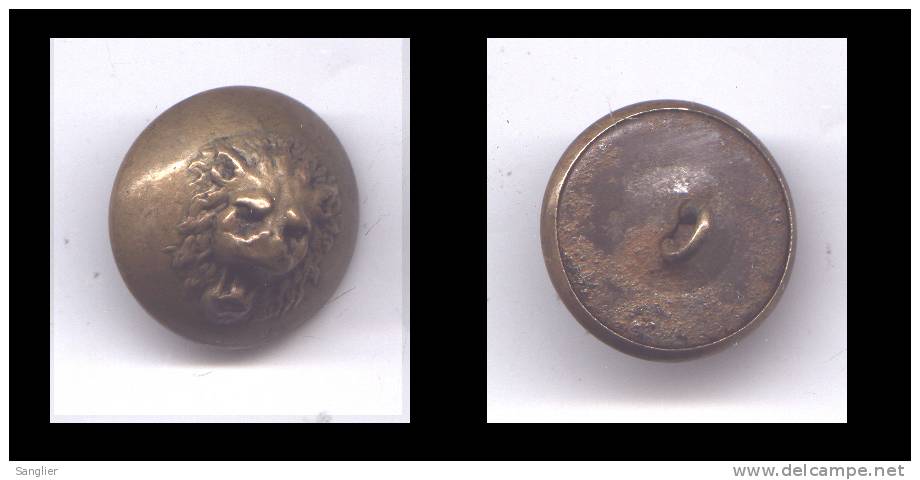 BOUTON 21 MM - TETE DE LION - Buttons