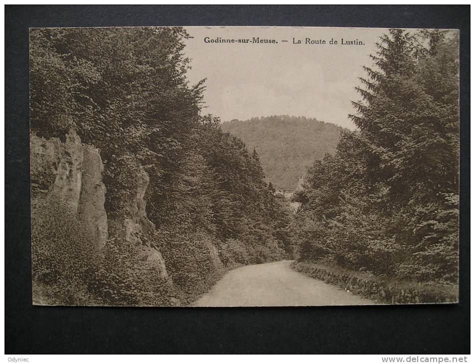 Godinne-sur-Meuse.-La Route De Lustin - Gedinne