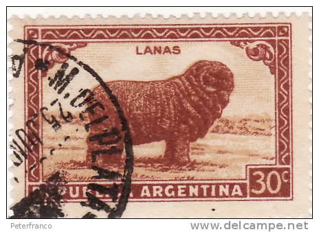 Argentina - Lanas - Kühe