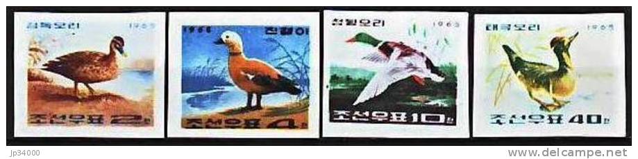 COREE DU NORD: OISEAUX 4 Valeurs Canard (yvert 645+646+649+650 Complet Oiseaux) Neuf Sans Charniere ** - Canards