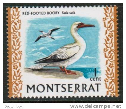 MONTSERRAT   Scott #  231**  VF MINT NH - Montserrat