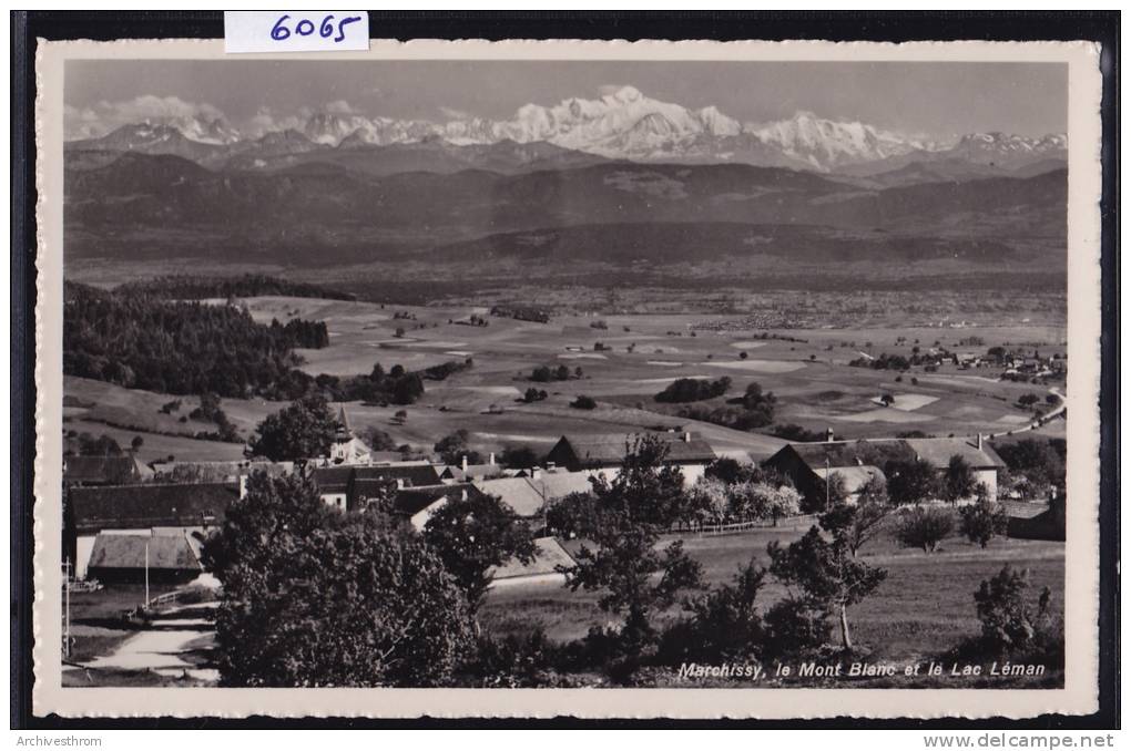 Marchissy - Vue D'ensemble Avec Le Mont Blanc Et Le Léman (6065) - Marchissy