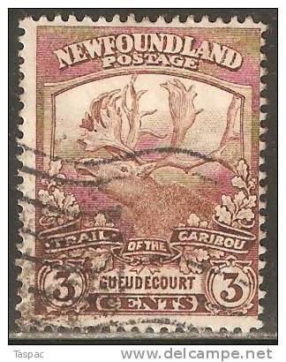 Newfoundland 1919 Mi# 98 Used - Services Of The Newfoundland Contingent In WWI - 1908-1947