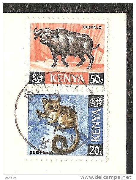 Elephant Herd Kenya African Wild Life 1970 - Kenia