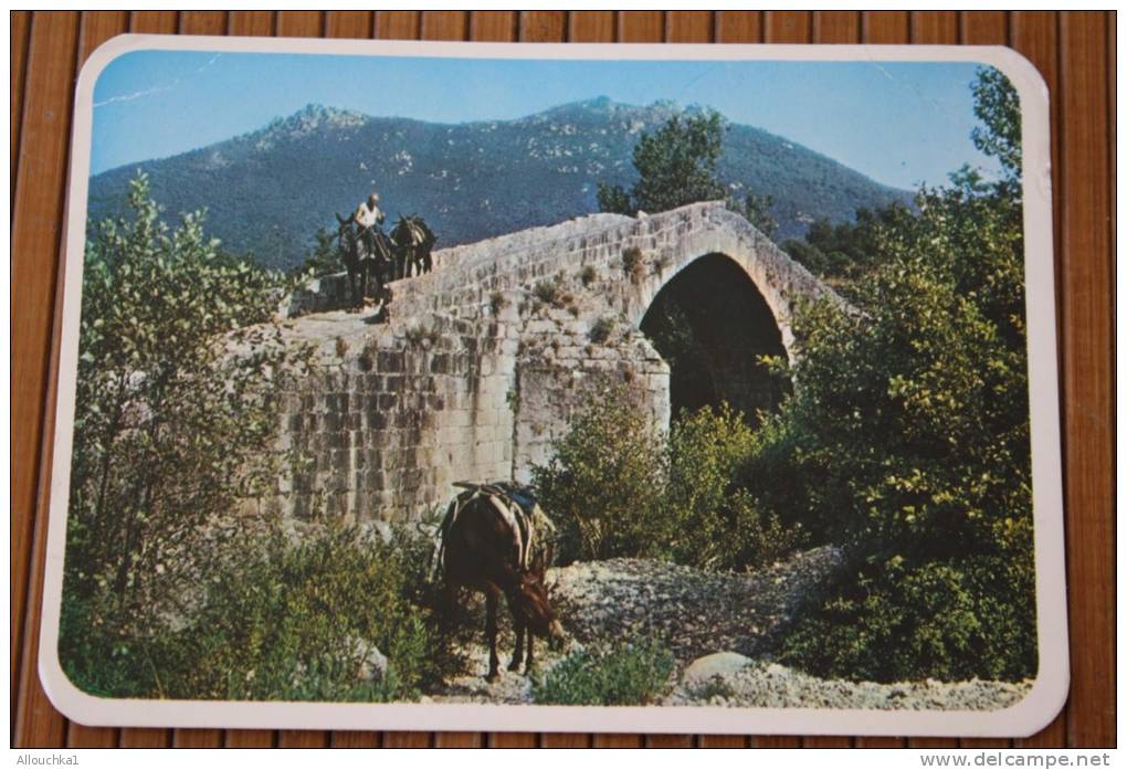 CPSM PONT GENOIS DE SPIN'A CAVLLU   AUX ENVIRONS DE SARTENE  CORSE  A CHEVAL SUR  ANES - Sartene