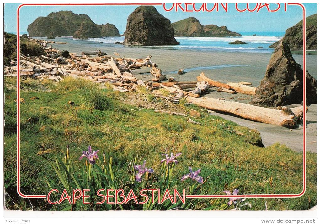 B32452 Oregon Coast Cape Sebastian Used Perfect Shape - Other & Unclassified