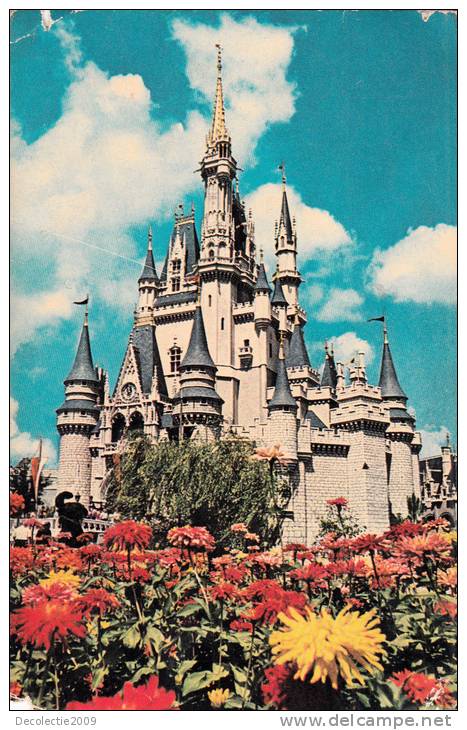 B32468 Walt Disney World Cinderella Castle Not Used Bad Shape - Orlando