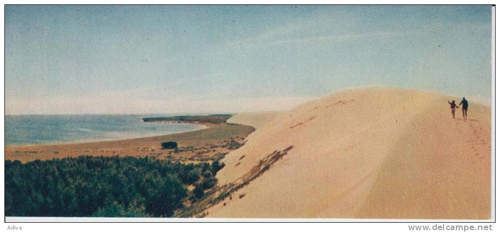 Kurische Nehrung 1970 Zur Spize Des Sandberges - Lituanie