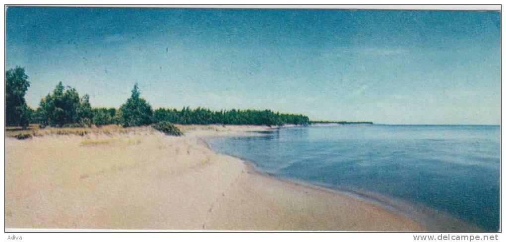 Kurische Nehrung 1970 Auf Dem Haffufer - Lituanie