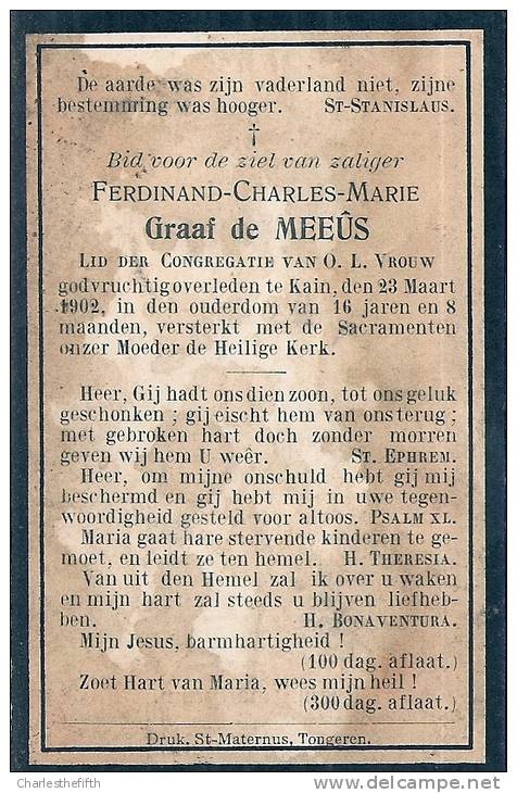 NOBLESSE - GRAAF DE MEEUS ( 16 Ans !) - 1886  + KAIN 1902 - Devotion Images