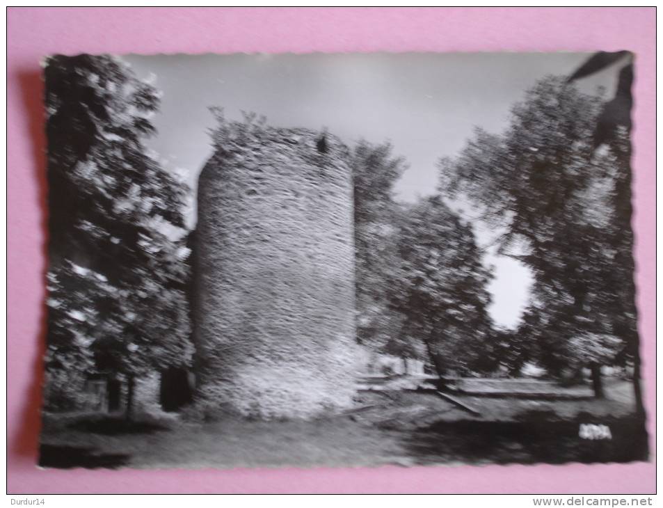 SAUVETERRE-DE-ROUERGUE  ( Aveyron )  La Tour - Autres & Non Classés