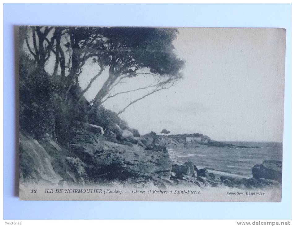 Ile De NORMOUTIER - Chenes Et Rochers Saint PIERRE - Noirmoutier