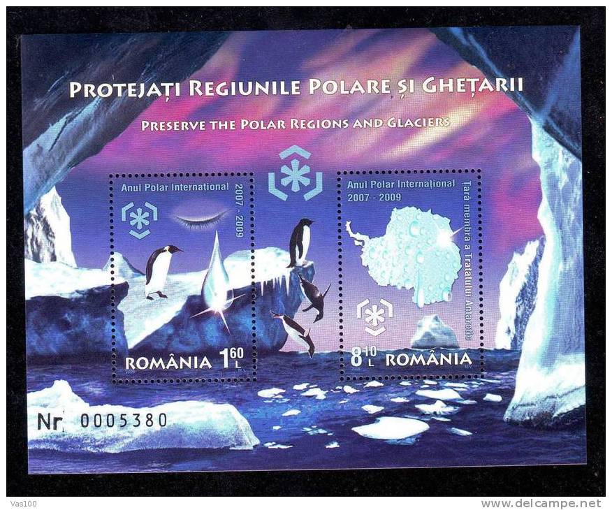 INTERNATIONAL POLAR YEAR 2009 BLOK PENGUIN,PINGOUINS,MNH. - Pinguïns & Vetganzen