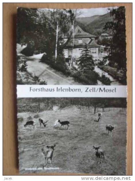 Zell Mosel Forsthaus Irlenborn - Zell