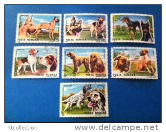 Romania 1990 Set Of 7 Fauna Mammal Domestic Animals Dogs Dog Expozitia Mondiala Canina Boxer Ogar Afgan Pet Stamps Used - Gebraucht