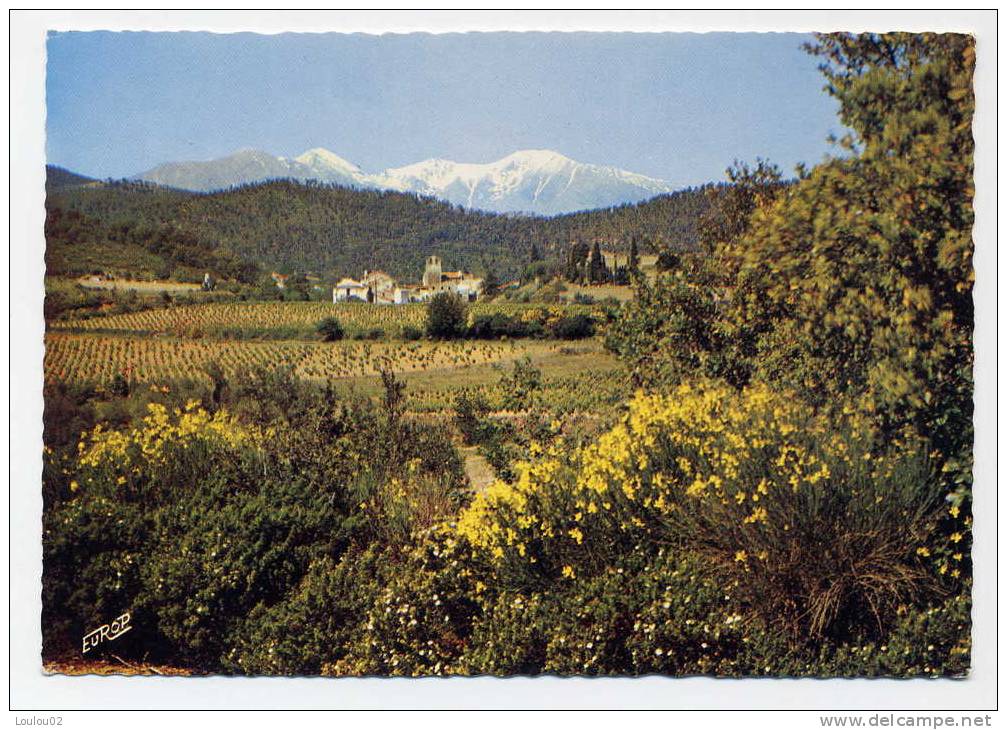 66 - ROUSSILLON - Paysage De L' Aspre - Bord Dentele - Excellent état - Roussillon